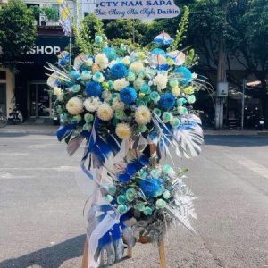 Hoa Khai Trương - Hoa cẩm tú cầu