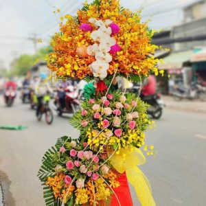 Hoa Khai Trương - Hoa lan Mokara